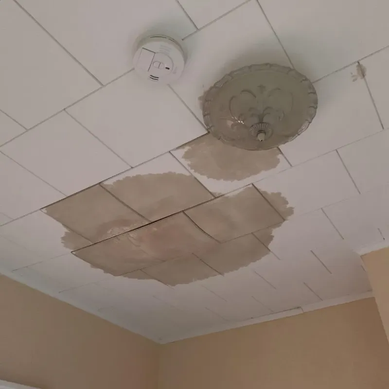 Ceiling Water Damage Repair in Maplewood, MO