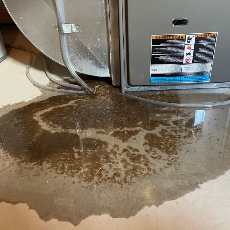 Pipe Burst and Leak Restoration in Maplewood, MO