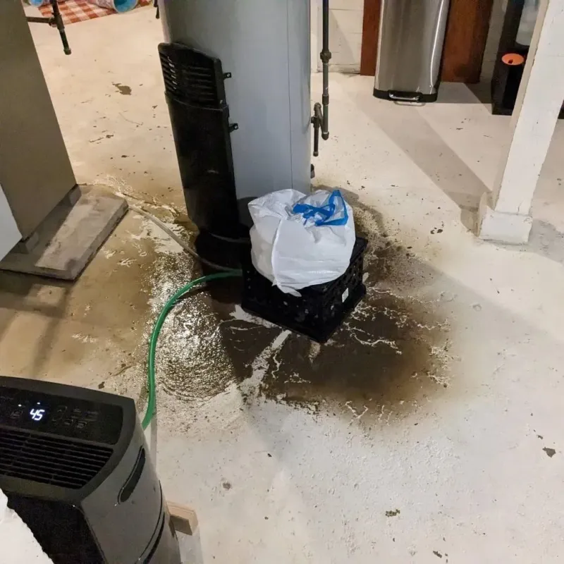 Sewage Backup Cleanup Service in Maplewood, MO